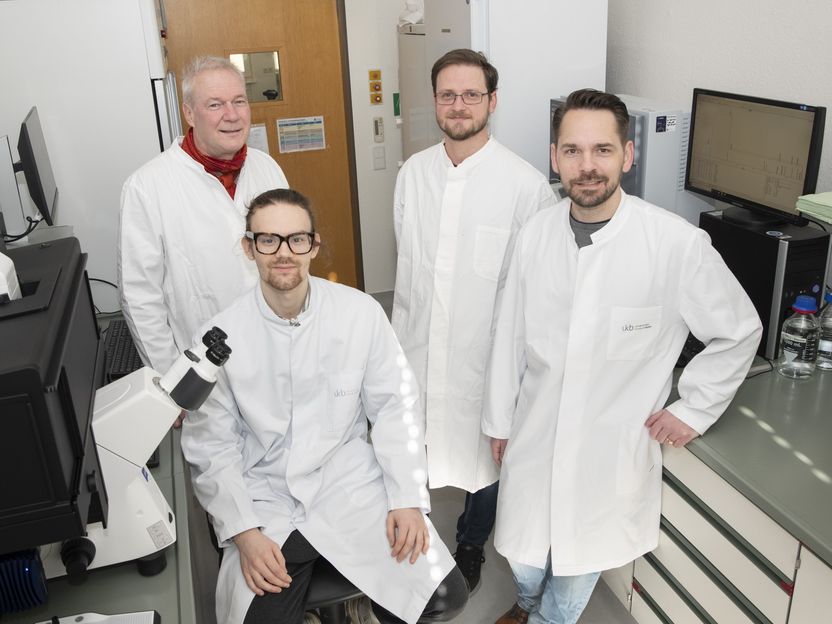 Neue Wirkungsweise im „bakteriellen Krieg“ entschlüsselt: Mögliche Alternative zu Antibiotika aus Bakterien - Antibakterielle Substanz von Staphylokokken mit neuem Wirkmechanismus gegen natürliche Konkurrenten entdeckt