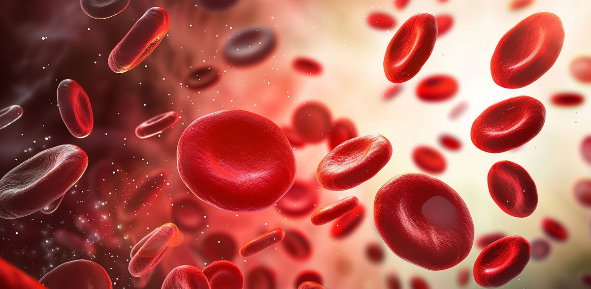 Revolution in blood donation? Enzymes open new path to universal donor blood