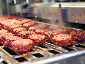 Deutschland: Trend zu Fleischersatz ungebrochen: Produktion steigt 2023 um 16,6 % gegenüber dem Vorjahr