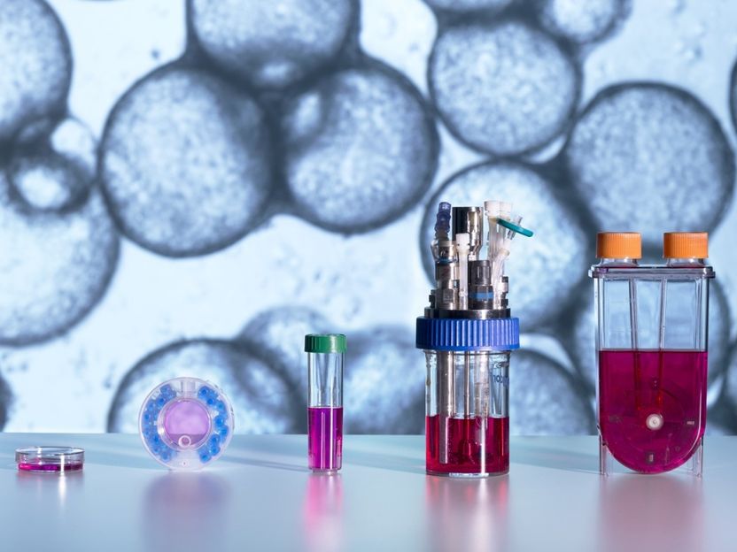 Innovative bioreactor research processes and cryotechnologies improve active ingredient tests using human cell cultures - This is paving the way for efficient real-world use of these cell cultures in toxicity testing and drug discovery