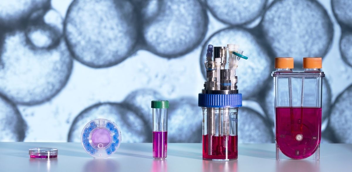 Procesos innovadores de investigación con biorreactores y criotecnologías mejoran las pruebas de principios activos con cultivos celulares humanos