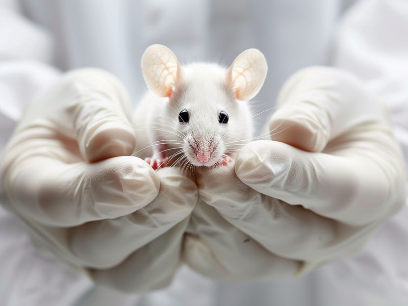 Ersatz für Tierversuche – jetzt ganz ohne Tierleid - Erstes Gewebe-Modell der Leber völlig ohne Materialien tierischer Herkunft hergestellt