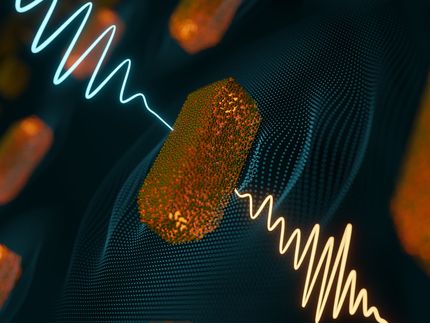 Researchers can now accurately measure the emergence and damping of a plasmonic field