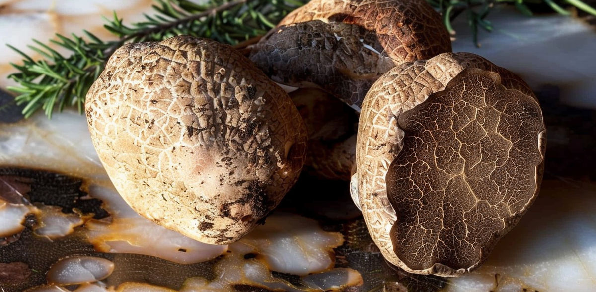 New method against truffle fraud