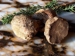 New method against truffle fraud