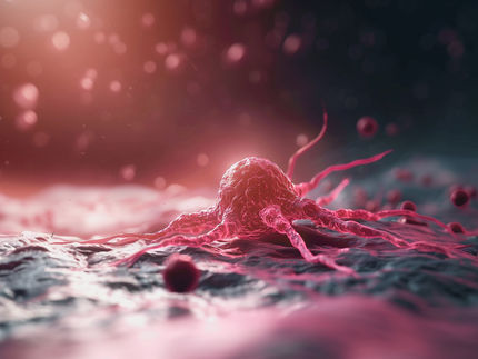 Abkömmlinge des Contergan-Wirkstoffs treiben resistente Krebszellen in den Tod