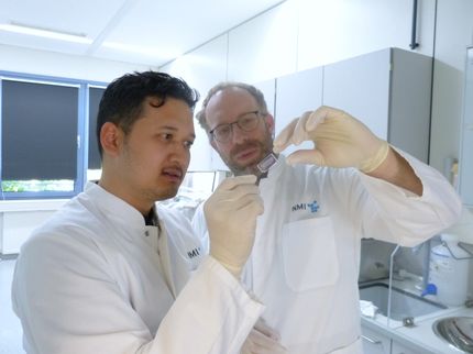 Tejido tumoral en un chip: nuevas posibilidades para terapias celulares y medicina personalizada