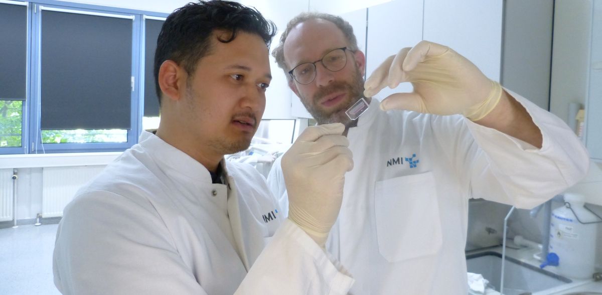 Tumorgewebe auf dem Chip: Neue Möglichkeiten für Zelltherapien und die personalisierte Medizin