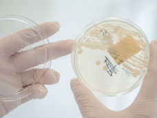 Eine zweite Chance für einen neuen antibiotischen Wirkstoff