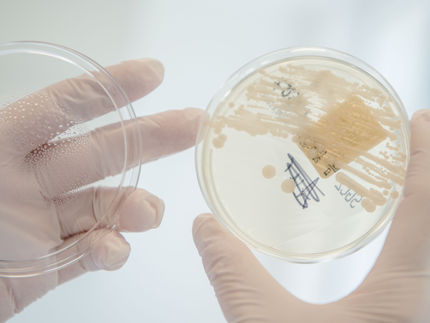 Una segunda oportunidad para un nuevo agente antibiótico