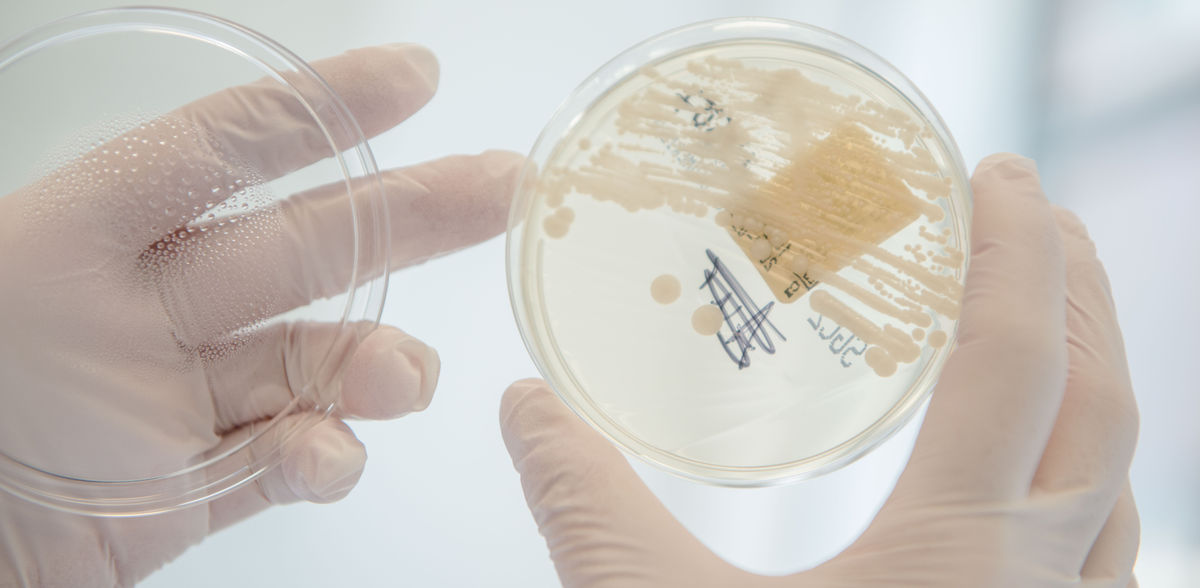 Una segunda oportunidad para un nuevo agente antibiótico