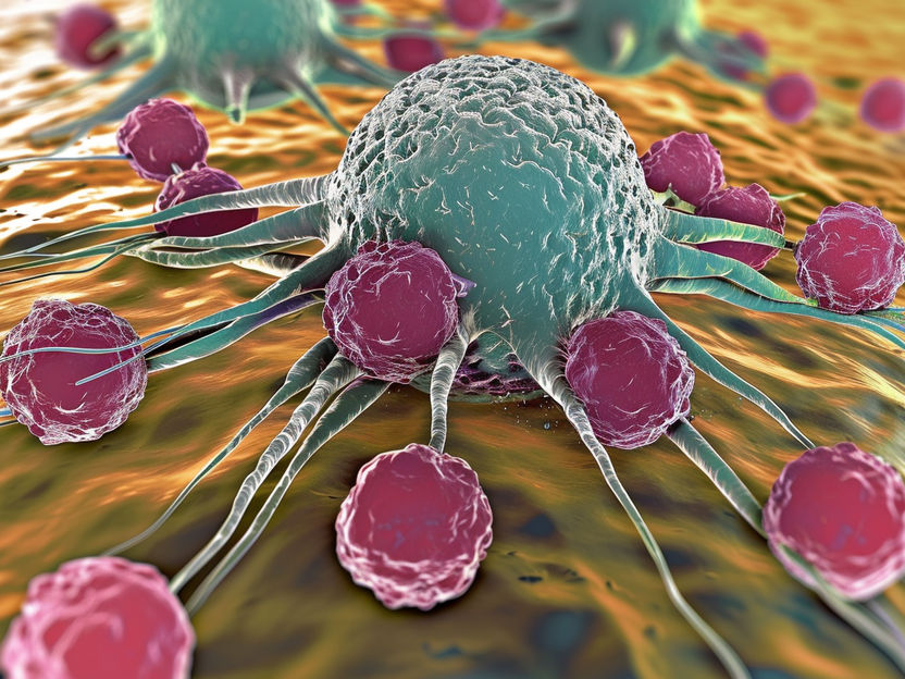 How immune cells recognize the abnormal metabolism of cancer cells - New targets for cancer immunotherapies?