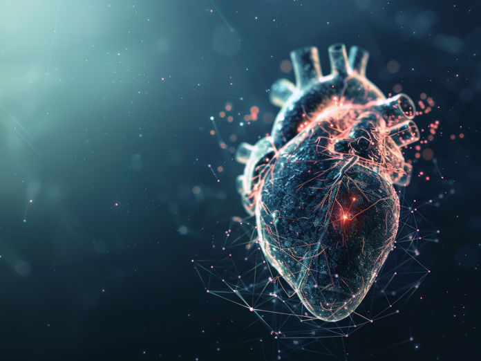 Signatures of of heart attack - Multi-omics factor analysis provides new insights - Analysed for the first time: How does the immune system react to a heart attack?