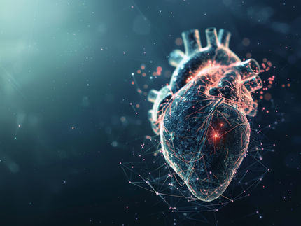 Signaturen des Herzinfarkts - Multi-Omics-Faktoren-Analyse liefert neue Erkenntnisse