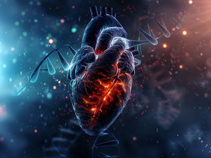 Génétique des accidents vasculaires cérébraux : des mécanismes HTRA1 indépendants augmentent le risque