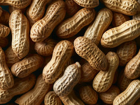 Ernährung von Kleinkindern mit Erdnussprodukten schützt vor Allergien bis ins Jugendalter