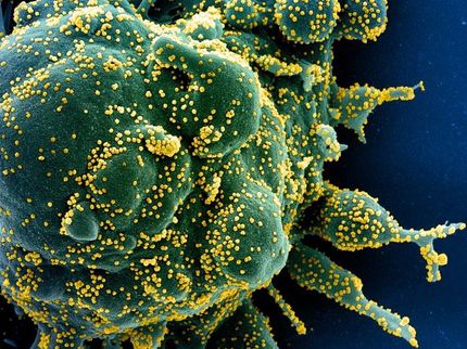 Wie COVID-19-"Durchbruchsinfektion" Ihre Immunzellen verändern