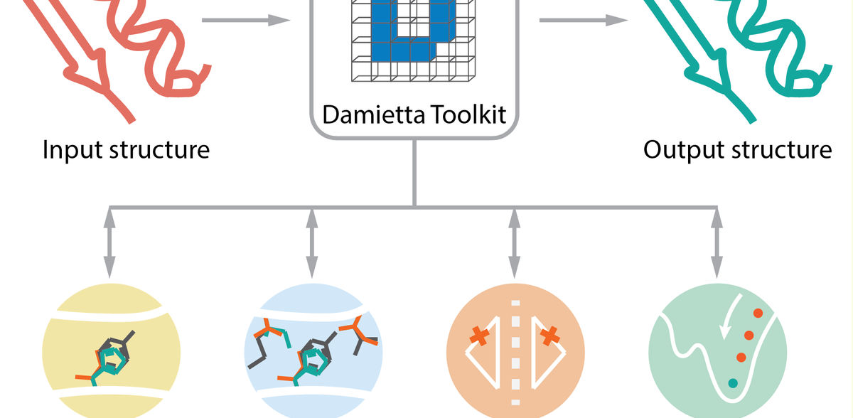 Breakthrough in protein research: Toolkit makes protein design faster and more accessible