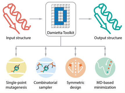 La boîte à outils rend la conception de protéines plus rapide et plus accessible