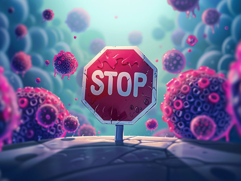 Molecular stop signal identified - The sophisticated surveillance system of cell division
