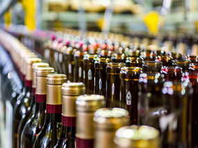 Weinbranche: Innovative Entwicklung fürs Nachhaltigkeitsmanagement gestartet