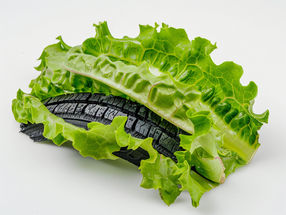 Absorción de aditivos contra el desgaste de los neumáticos por las hortalizas destinadas al consumo humano