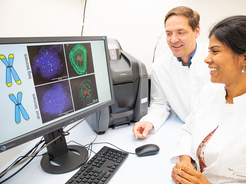 How the protective caps on our DNA relate to heart health - Research team develops new molecular tool to investigate the influence of telomerase on the development of heart muscle cells