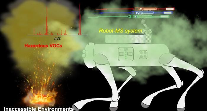 Adapted from Analytical Chemistry 2024, DOI: 10.1021/acs.analchem.4c01555