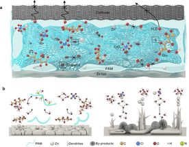 Novel strategy proposed for all-climate zinc-ion batteries