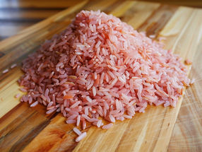 Future Food: Beef Cells Integrated into Rice