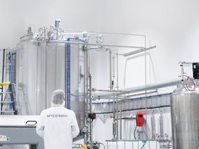 Mycorena Discontinues Large Scale Factory Project to Focus on New Pivoted Growth Plan