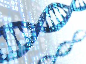 Un logiciel spécial améliore la précision de l'annotation du génome des animaux et des plantes
