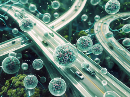 Comment les cellules stimulent l'expression des gènes