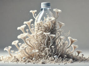 Effiziente plastikfressende Pilze in Süßgewässern identifiziert