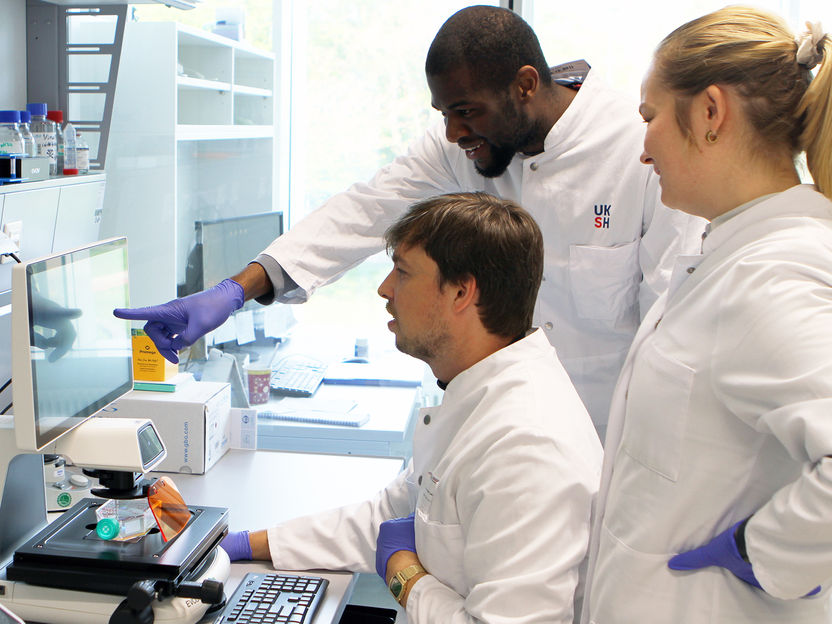Un nuevo anticuerpo encierra un gran potencial para combatir el cáncer de sangre - Un anticuerpo ya probado también es prometedor para la LLA