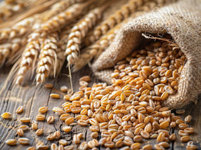 Study shows: Why whole grains are the healthiest