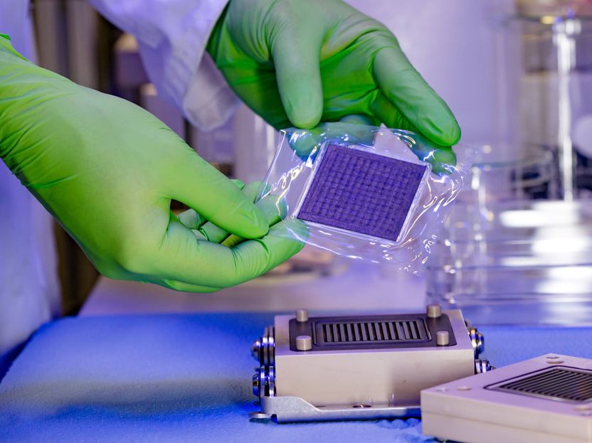 Environmentally friendly and cost-effective electrolysers thanks to new MEA - Up to 95 percent less iridium, no PFAS: Spin-off elementarhy achieves first successes