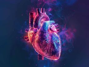Eje cerebro-corazón: los accidentes cerebrovasculares modifican la epigenética del sistema inmunitario