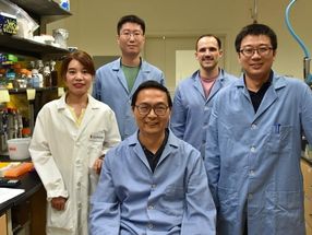 Major breakthrough: New additive process can make better — and greener — high-value chemicals