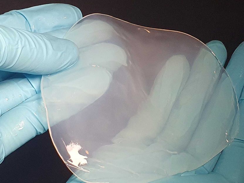 Cómo los investigadores convierten las bacterias en minifábricas productoras de celulosa - "Para mí, esta obra es un hito"