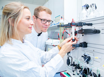 Comment les bactéries attachent leur cape d'invisibilité aux défenses immunitaires