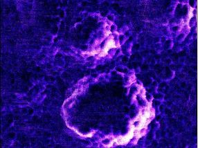 Observed live for the first time: photocatalysts switch off a virus