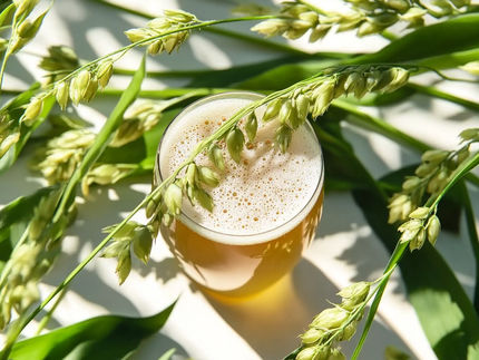 Carlsberg