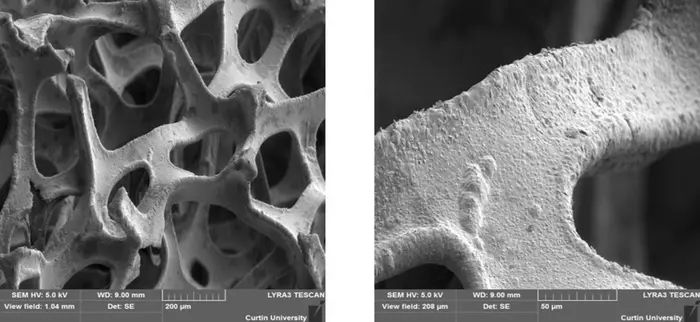 Hanwen Liu, et al. Advanced Energy Materials. August 7, 2024