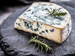 PDO cheeses and milks harbor startling microbial diversity