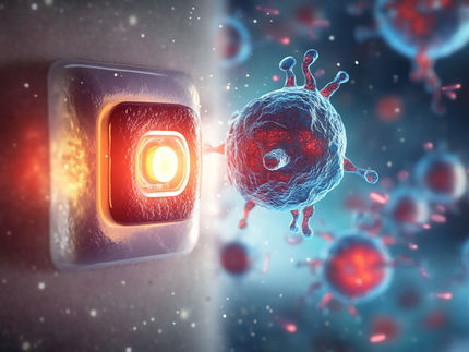 Interruptor luminoso para receptores especiales