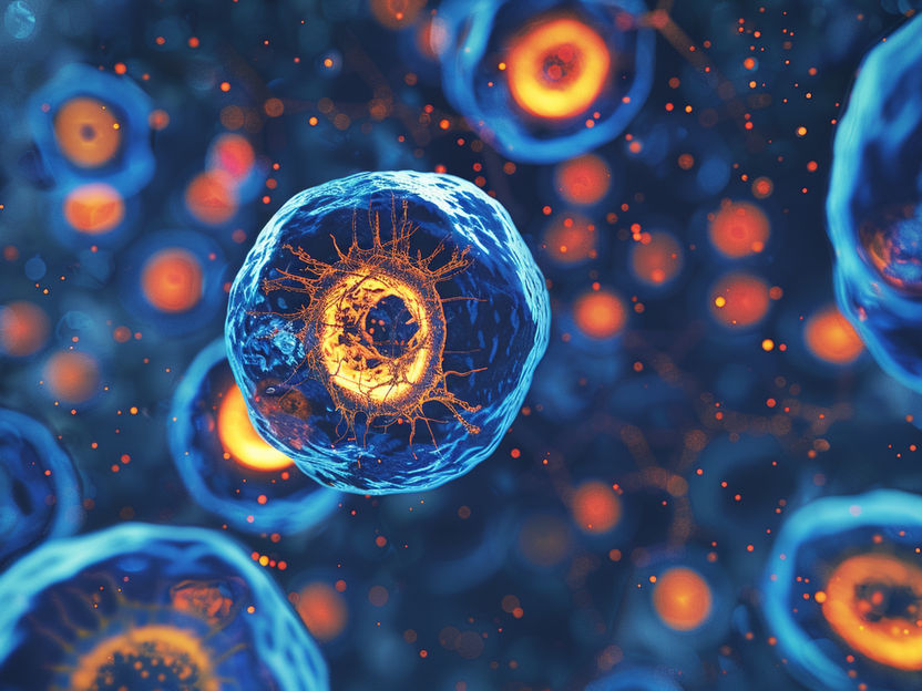Phase 1 BAFF CAR T clinical trial for patients with relapsed and refractory multiple myeloma underway at UH Seidman Cancer Center - Study is being done through an agreement between UH and start-up Luminary Therapeutics