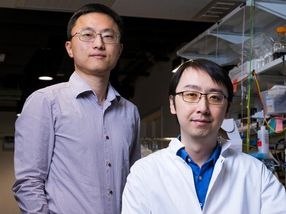 Rice-built reactor yields green ammonia and purified water