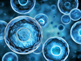 Exciting advance in stem cell therapy