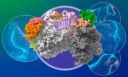 European Molecular Biology Laboratory